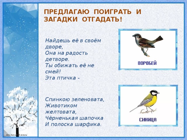 ПРЕДЛАГАЮ ПОИГРАТЬ И ЗАГАДКИ ОТГАДАТЬ! Найдешь её в своём дворе, Она на радость детворе. Ты обижать её не смей! Эта птичка - ... Спинкою зеленовата, Животиком желтовата, Чёрненькая шапочка И полоска шарфика.