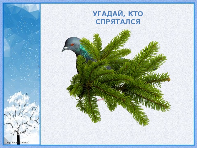 Угадай, кто спрятался