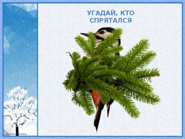 Угадай, кто спрятался