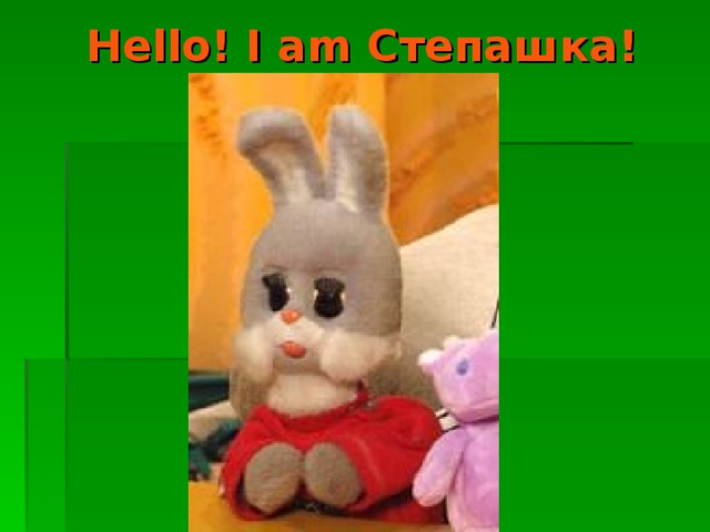 Hello! I am Степашка!