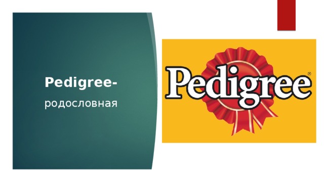 Pedigree- родословная