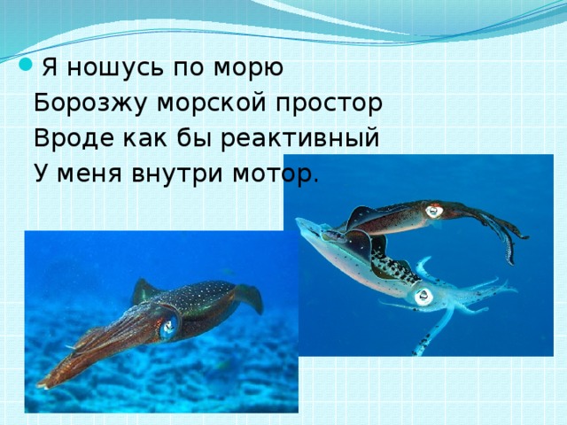 Я ношусь по морю