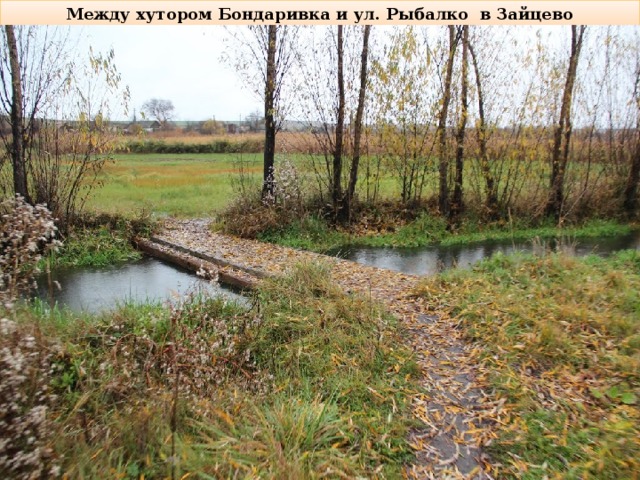 Между хутором Бондаривка и ул. Рыбалко  в Зайцево