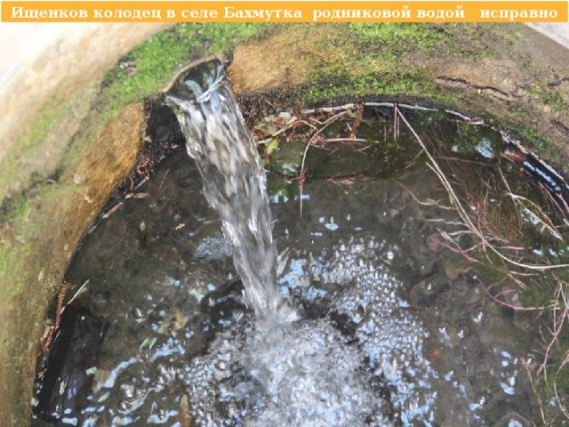 Ищенков колодец в селе Бахмутка  родниковой водой   исправно пополняет реку  во все времена года 