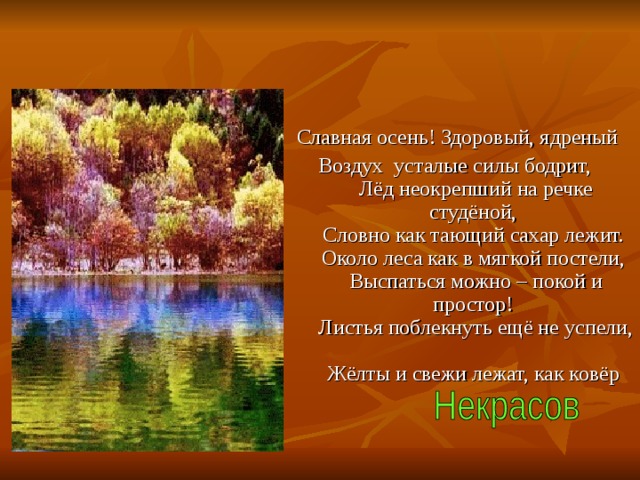 Славная осень! Здоровый, ядреный Воздух усталые силы бодрит,  Лёд неокрепший на речке студёной,  Словно как тающий сахар лежит.  Около леса как в мягкой постели,  Выспаться можно – покой и простор!  Листья поблекнуть ещё не успели,  Жёлты и свежи лежат, как ковёр