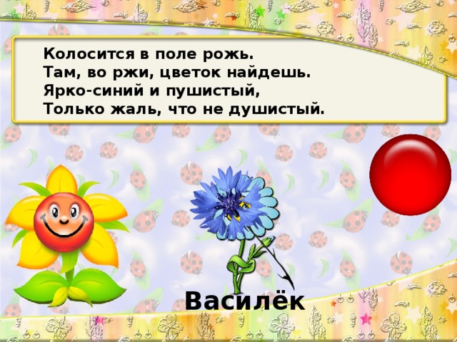 Колосится в поле рожь. Там, во ржи, цветок найдешь. Ярко-синий и пушистый, Только жаль, что не душистый. Василёк