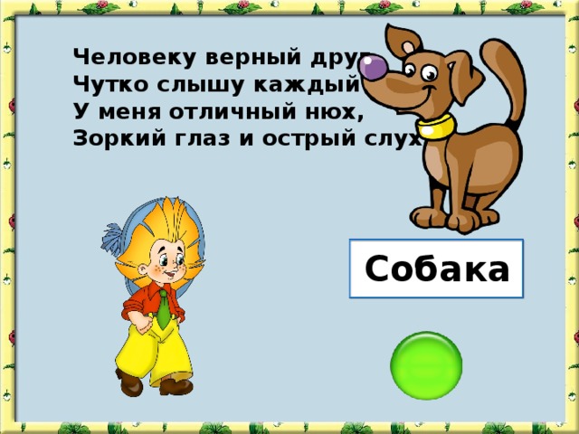Человеку верный друг, Чутко слышу каждый звук. У меня отличный нюх, Зоркий глаз и острый слух. Собака