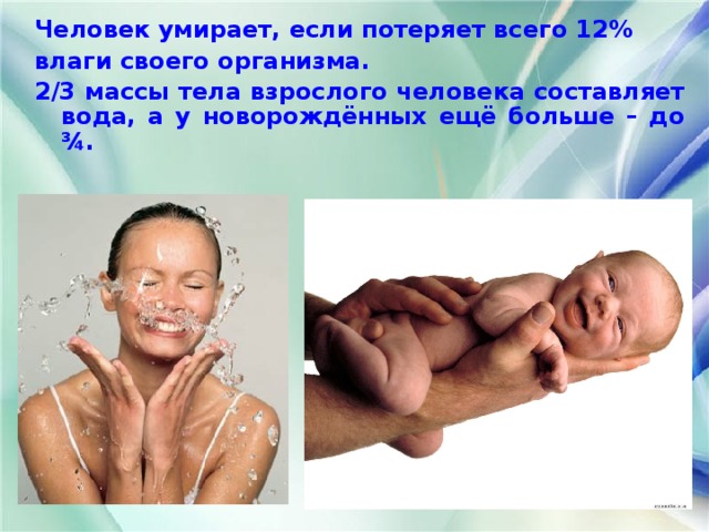 Человек умирает, если потеряет всего 12% влаги своего организма. 2/3 массы тела взрослого человека составляет вода, а у новорождённых ещё больше – до ¾.