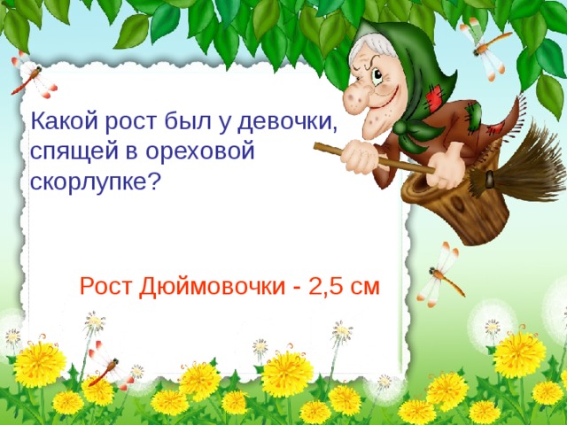 Какой рост был у девочки, спящей в ореховой скорлупке? Рост Дюймовочки - 2,5 см