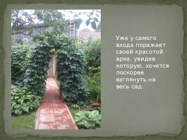 Уже у самого входа поражает своей красотой арка, увидев которую, хочется поскорее взглянуть на весь сад.