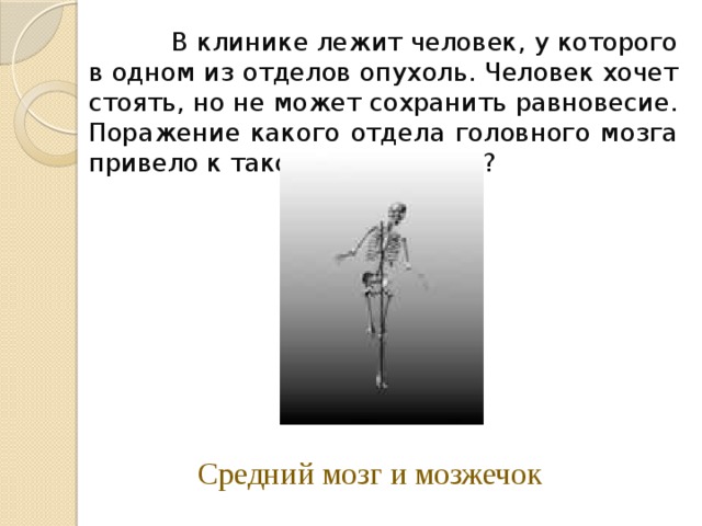 В клинике лежит человек, у которого в одном из отделов опухоль. Человек хочет стоять, но не может сохранить равновесие. Поражение какого отдела головного мозга привело к такому результату? Средний мозг и мозжечок