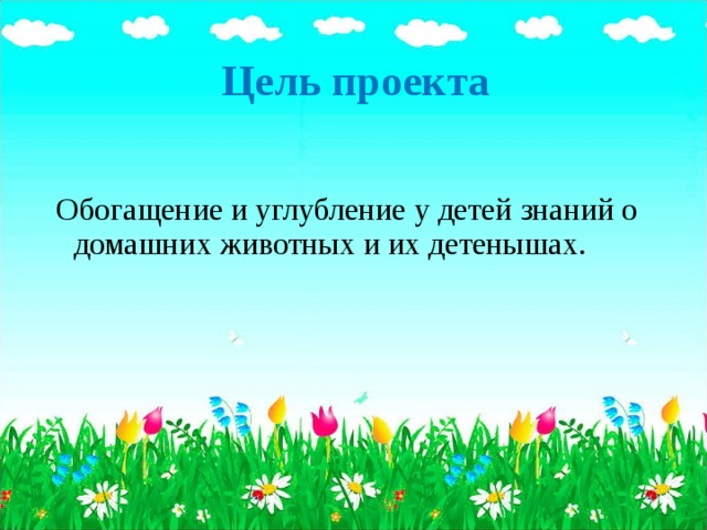 Цель проекта Обогащение и углубление у детей знаний о домашних животных и их детенышах.