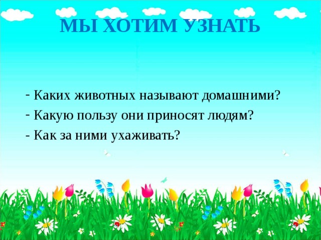 МЫ ХОТИМ УЗНАТЬ   Каких животных называют домашними? Какую пользу они приносят людям? - Как за ними ухаживать?