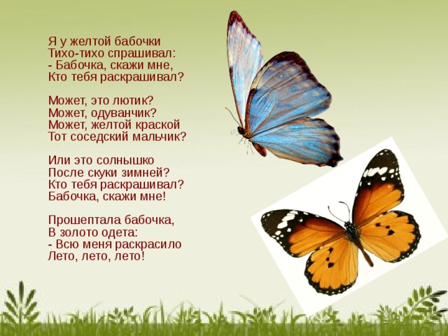 Стихи про бабочек, бабочку