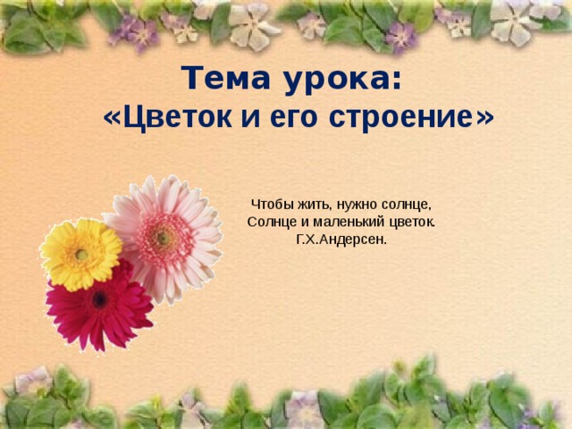 Тема урока:  « Цветок и его строение »