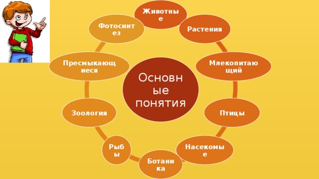 Животные Фотосинтез Растения Млекопитающий Пресмыкающиеся Основные понятия Птицы Зоология Насекомые Рыбы Ботаника