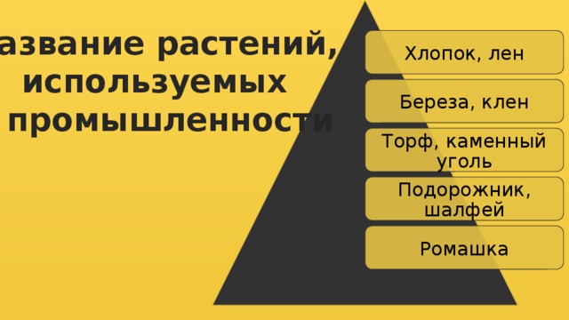 Название растений, используемых в промышленности Хлопок, лен Береза, клен Торф, каменный уголь Подорожник, шалфей Ромашка