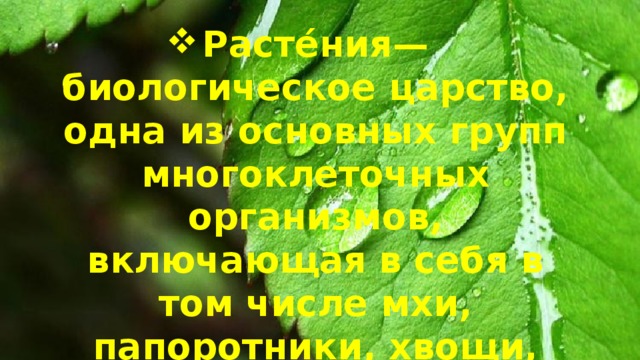 Расте́ния  (лат. Plantae, или Vegetabilia) — биологическое царство, одна из основных групп многоклеточных организмов, включающая в себя в том числе мхи, папоротники, хвощи, плауны, голосеменные и цветковые  растения .