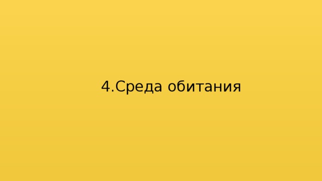 4.Среда обитания