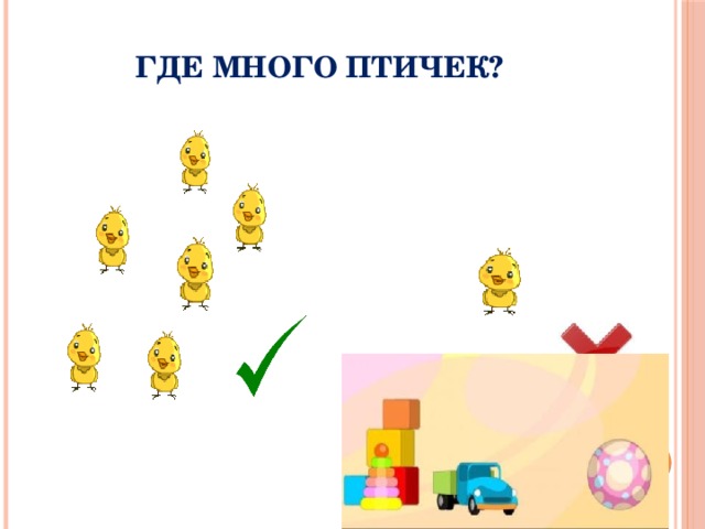 Где много птичек?