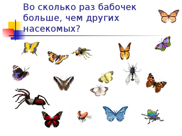 Во сколько раз бабочек больше, чем других насекомых?