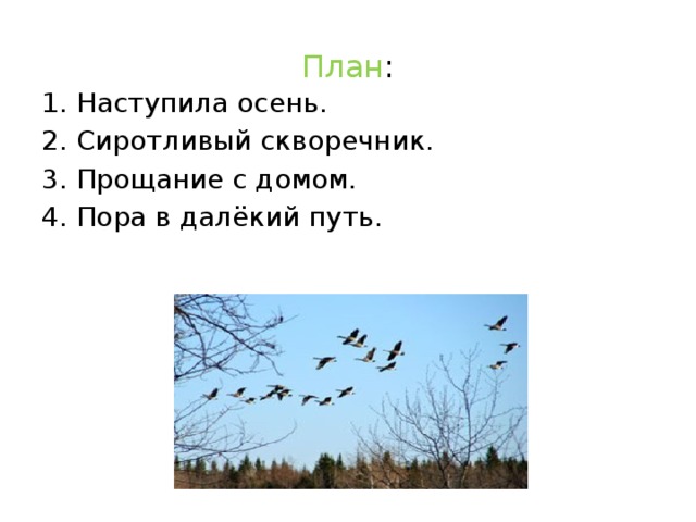 План : 1. Наступила осень. 2. Сиротливый скворечник. 3. Прощание с домом. 4. Пора в далёкий путь.