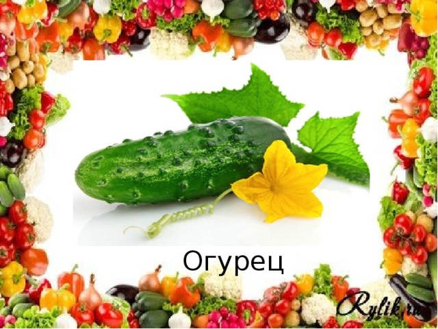 Огурец