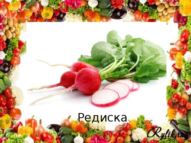 Редиска