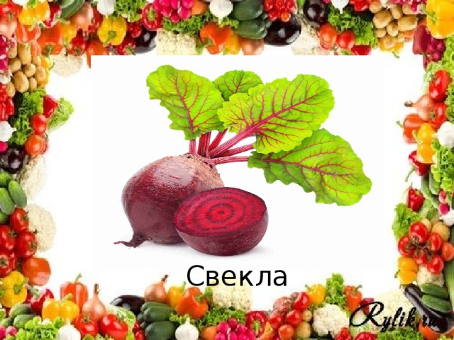 Свекла