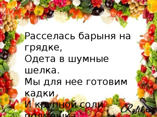 Расселась барыня на грядке, Одета в шумные шелка. Мы для нее готовим кадки И крупной соли полмешка.