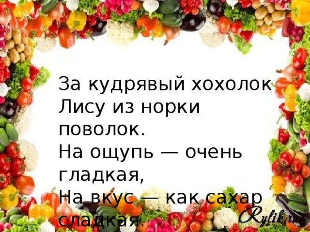 За кудрявый хохолок Лису из норки поволок. На ощупь — очень гладкая, На вкус — как сахар сладкая.