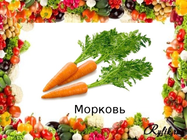 Морковь