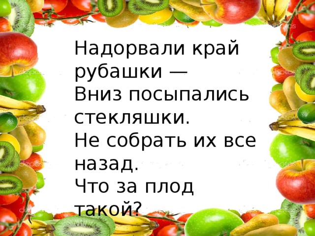 Надорвали край рубашки — Вниз посыпались стекляшки. Не собрать их все назад. Что за плод такой?