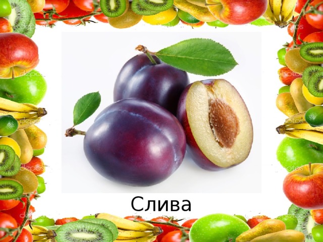 Слива