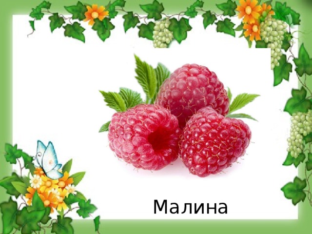 Малина