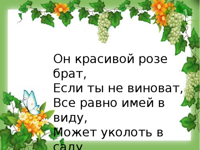 Он красивой розе брат, Если ты не виноват, Все равно имей в виду, Может уколоть в саду