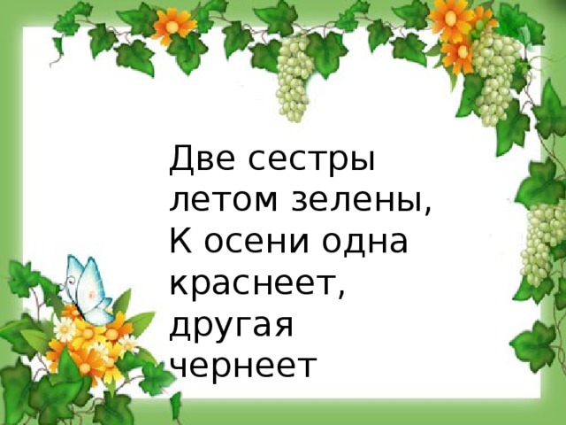 Две сестры летом зелены, К осени одна краснеет, другая чернеет