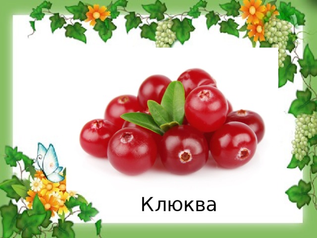 Клюква