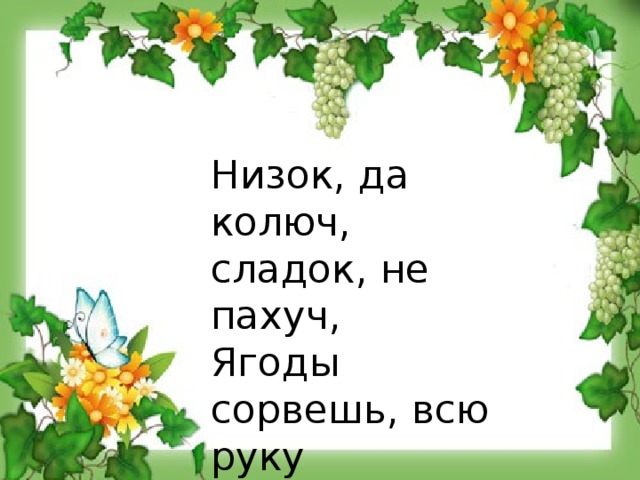 Низок, да колюч, сладок, не пахуч, Ягоды сорвешь, всю руку обдерешь.