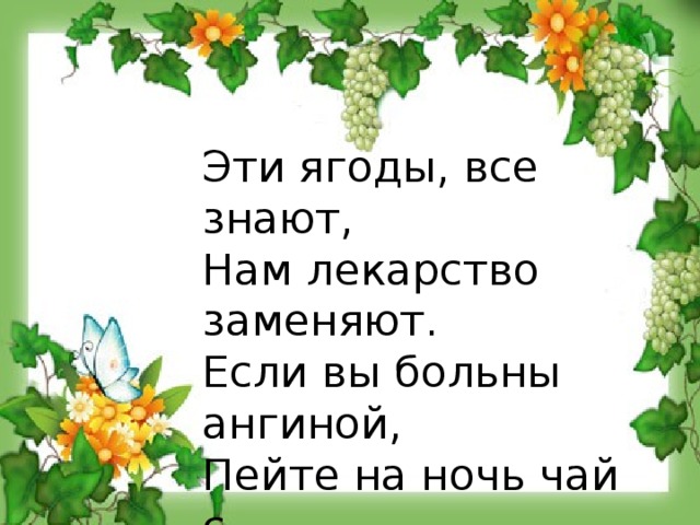 Эти ягоды, все знают, Нам лекарство заменяют. Если вы больны ангиной, Пейте на ночь чай с...