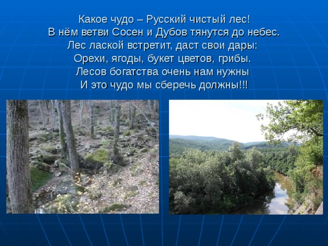 Какое чудо – Русский чистый лес!  В нём ветви Сосен и Дубов тянутся до небес.  Лес лаской встретит, даст свои дары:  Орехи, ягоды, букет цветов, грибы.  Лесов богатства очень нам нужны  И это чудо мы сберечь должны!!!