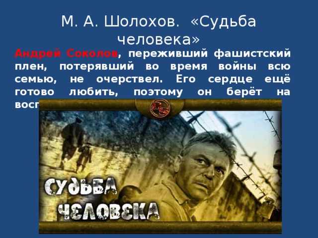 М. А. Шолохов. «Судьба человека» Андрей Соколов , переживший фашистский плен, потерявший во время войны всю семью, не очерствел. Его сердце ещё готово любить, поэтому он берёт на воспитание мальчика-сироту Ванюшу .