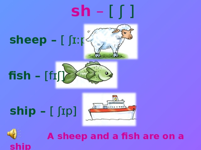 sh – [ ʃ ]   sheep – [ ʃ ɪ:p]  ship – [ ʃ ɪp]   A sheep and a fish are on a ship  fish – [fɪ ʃ ]