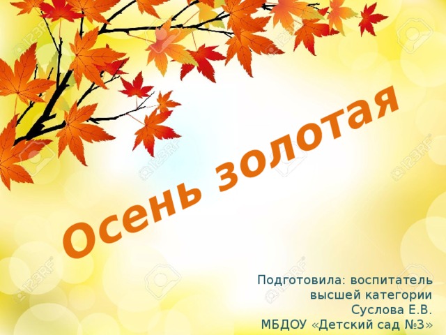 Осень золотая Подготовила: воспитатель  высшей категории  Суслова Е.В.  МБДОУ «Детский сад №3»