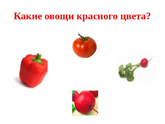 Какие овощи красного цвета?