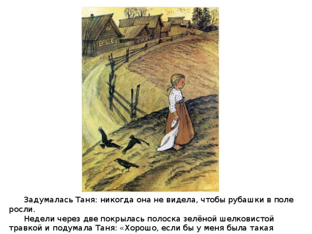 Задумалась Таня: никогда она не видела, чтобы рубашки в поле росли.  Недели через две покрылась полоска зелёной шелковистой травкой и подумала Таня: «Хорошо, если бы у меня была такая рубашечка».