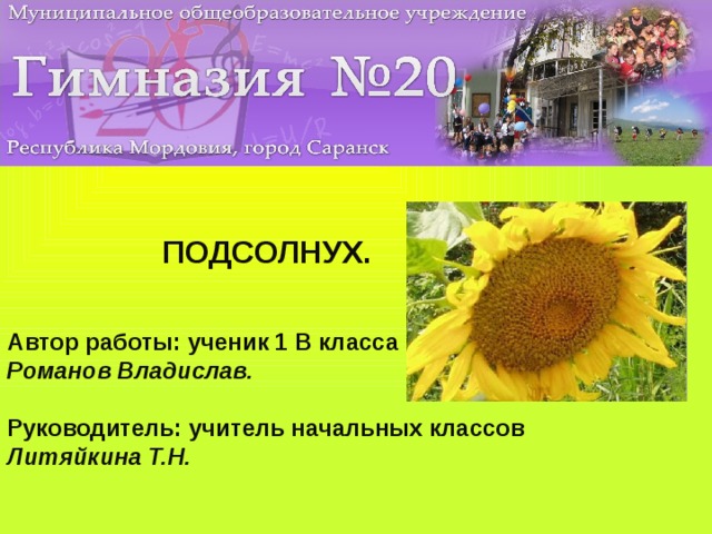 ПОДСОЛНУХ.   Автор работы: ученик 1 В класса Романов Владислав.  Руководитель: учитель начальных классов Литяйкина Т.Н.