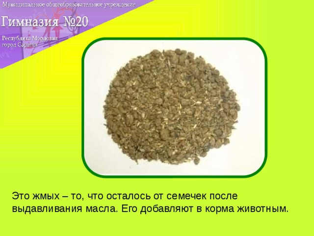 Это жмых – то, что осталось от семечек после выдавливания масла. Его добавляют в корма животным.