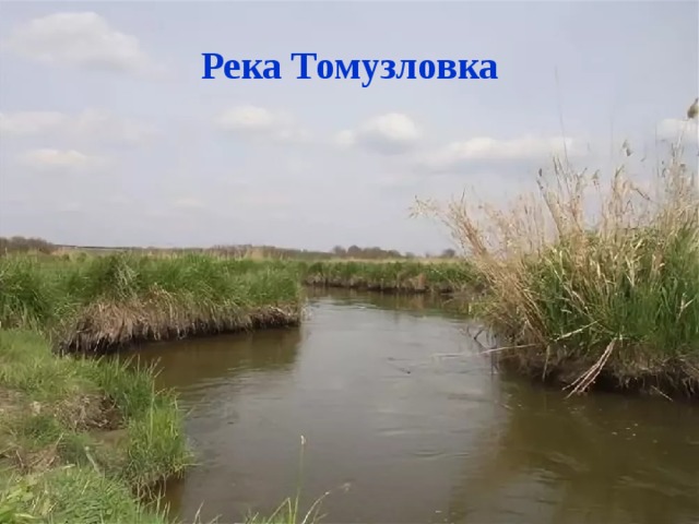 Река Томузловка Река Томузловка