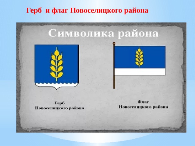 Герб и флаг Новоселицкого района